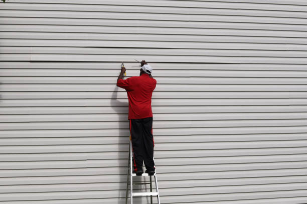 Affordable Siding Repair and Maintenance Services in West Springfield, VA